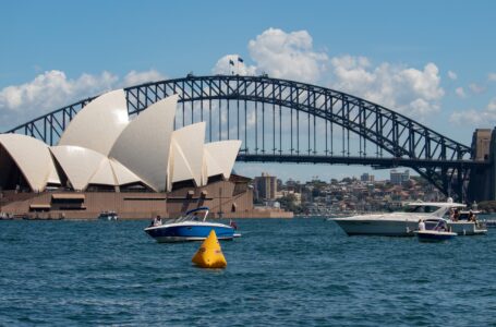 Domain Spotlight Report – New South Wales