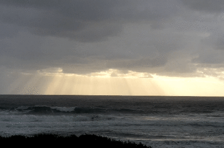 The Current Forecast for the Property Market in Australia: What Mortgage Brokers Need to Know